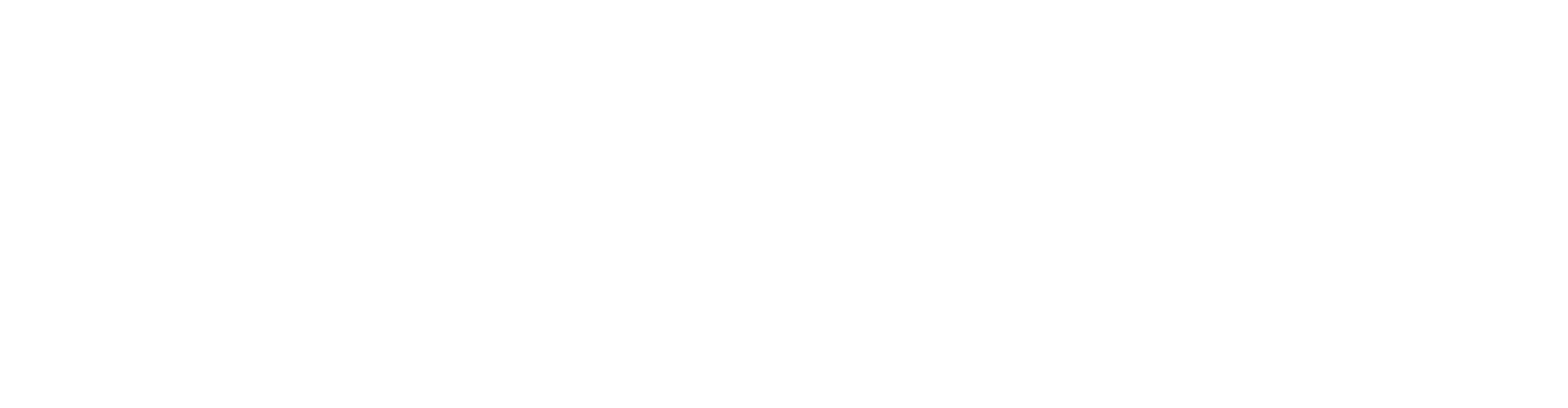 XDL White logo - no background